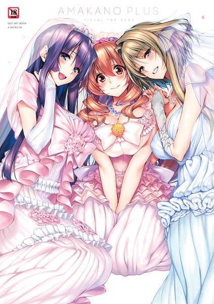 ピロ水❤アマカノ＋ ビジュアルファンブック-単行本 アマカノ＋ ビジュアルファンブック